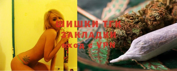 твердый Дмитриев