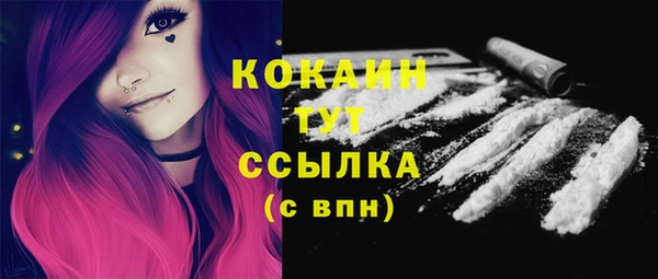 PSILOCYBIN Дмитровск