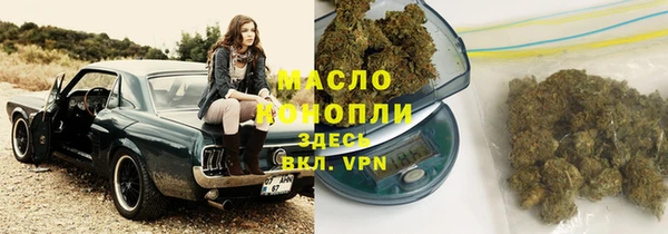 твердый Дмитриев