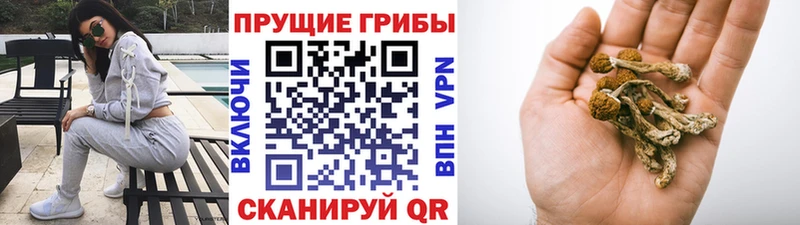 Купить закладки  Лобня  Галлюциногенные грибы мицелий 