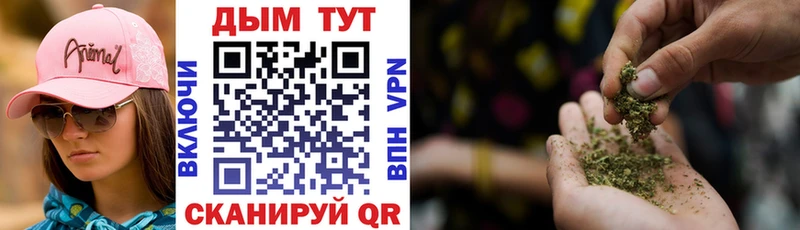 Купить закладки  Лобня  Каннабис VHQ 